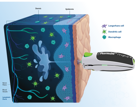 The PharmaJet pioneering technology unlocks the rich potential of the human dermis, paving the way for enhanced immune responses.