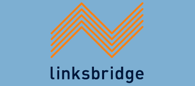 Linksbridge logo